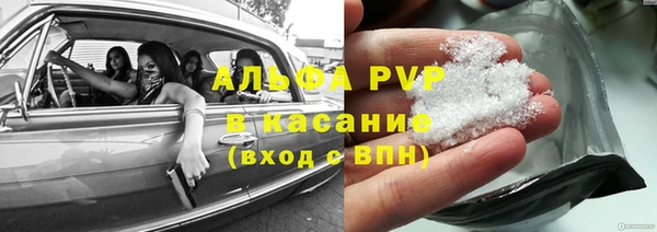 стафф Зеленокумск