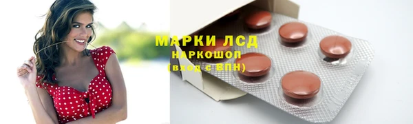 стафф Зеленокумск