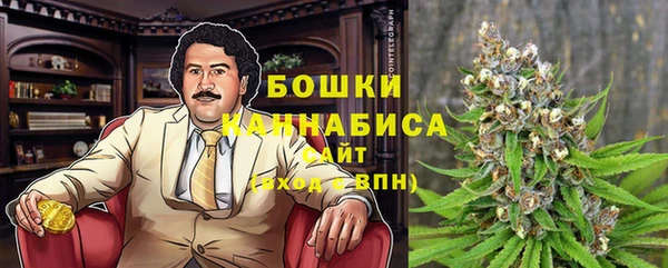 стафф Зеленокумск