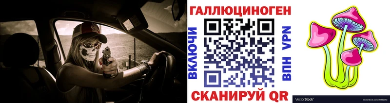 Псилоцибиновые грибы Psilocybe  Купить  Злынка 