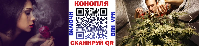Конопля SATIVA & INDICA Злынка